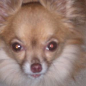 Meet your Posher, Kay